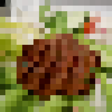 Nile's profile picture