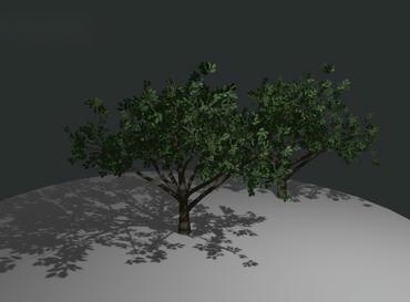 Showcase image