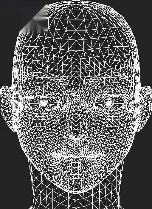 A wireframe rendering of a character's face with a neutral expression