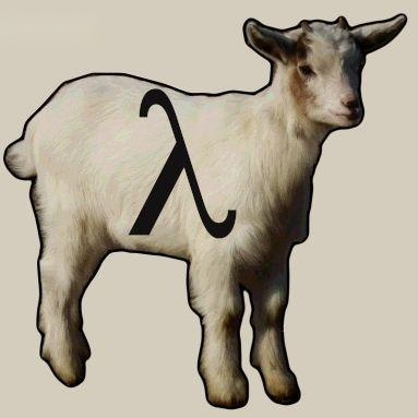 Nicola Papale's profile picture
