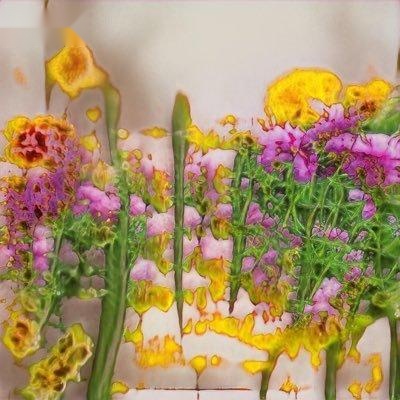 charlotte 🌸's profile picture